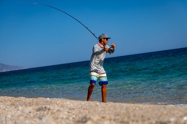 Fly fishing for roosterfish on the beach