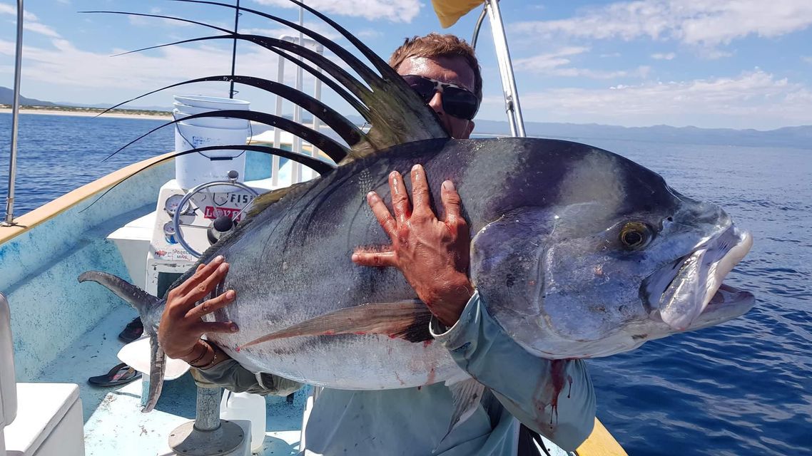 Grande roosterfish on the fly!