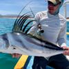 Grande roosterfish on the fly