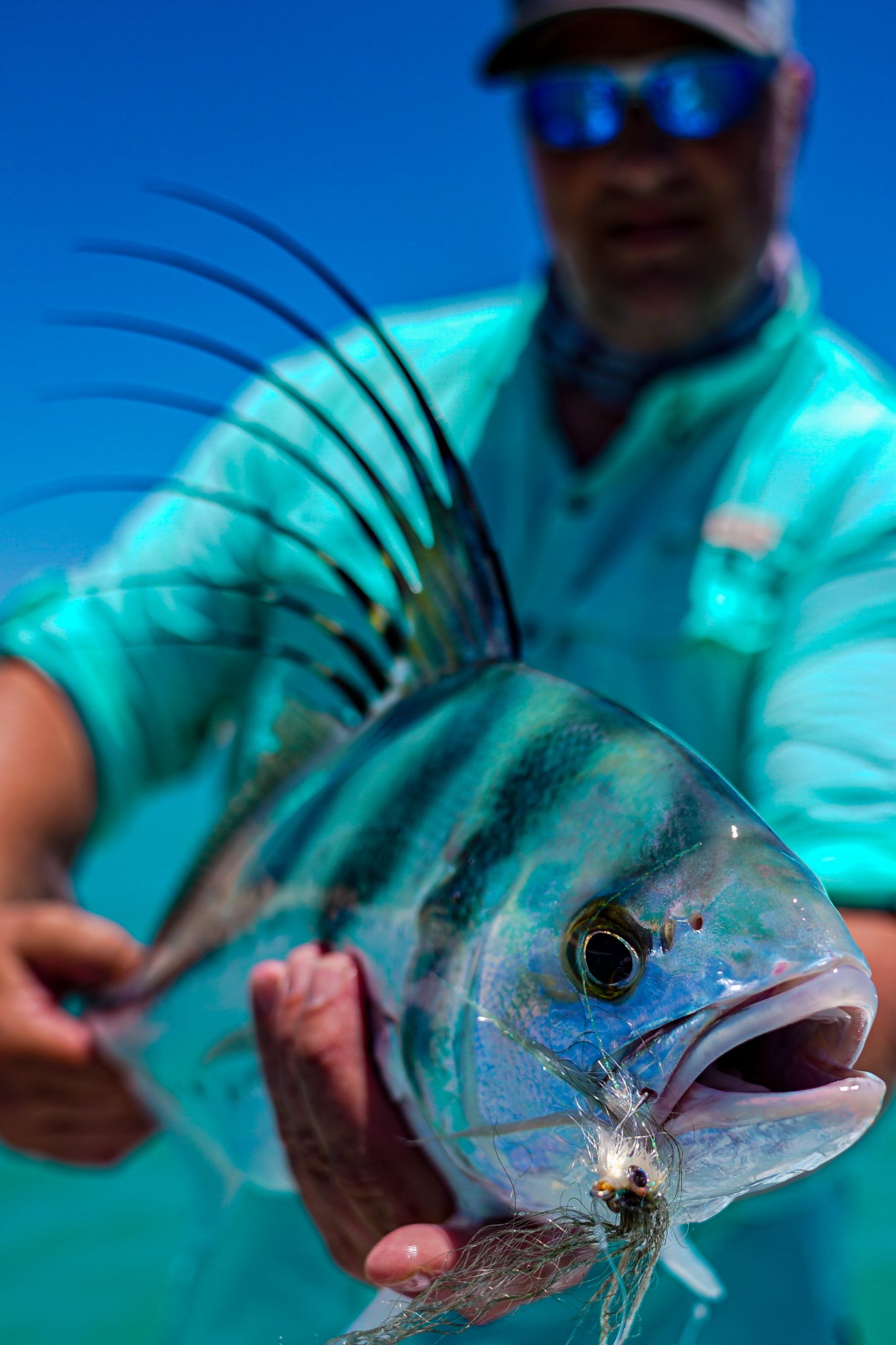 Roosterfish on the fly