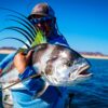 Trophy roosterfish on the fly in Baja California
