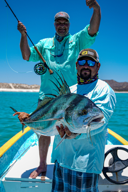 Giant roosterfish caught on a fly rod!